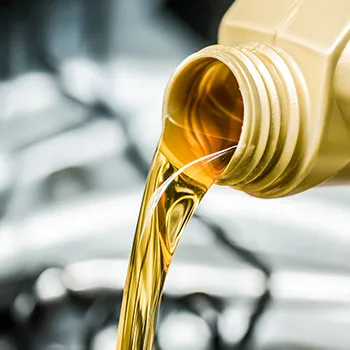 Oil Changes in Pinellas Park, FL